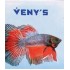 Veny's
